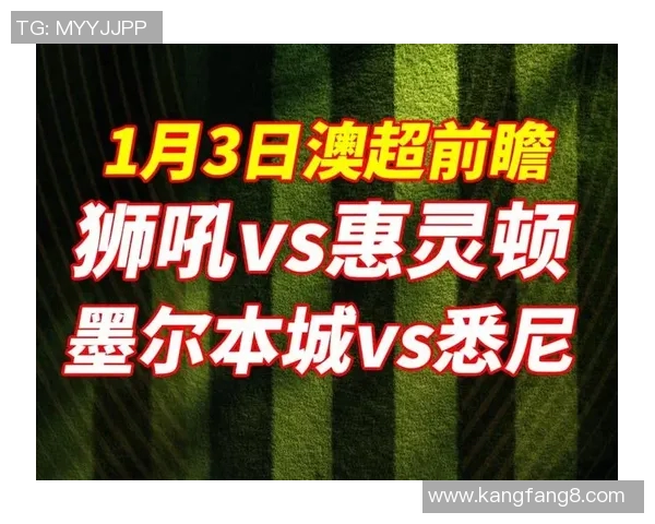 惠灵顿凤凰对阵悉尼FC赛事分析及战术解析全面解读