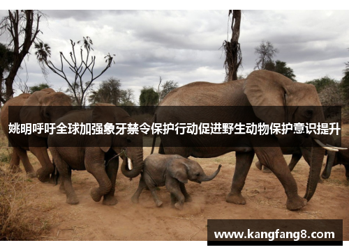 姚明呼吁全球加强象牙禁令保护行动促进野生动物保护意识提升